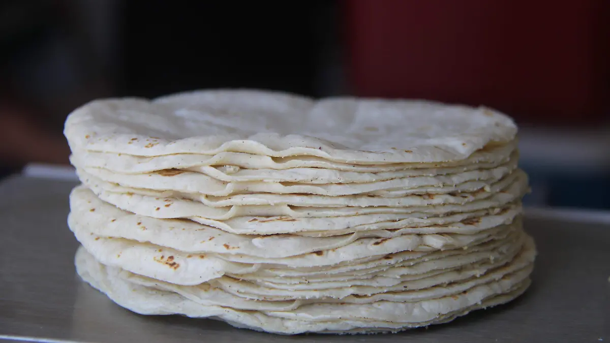 TORTILLAS (3)